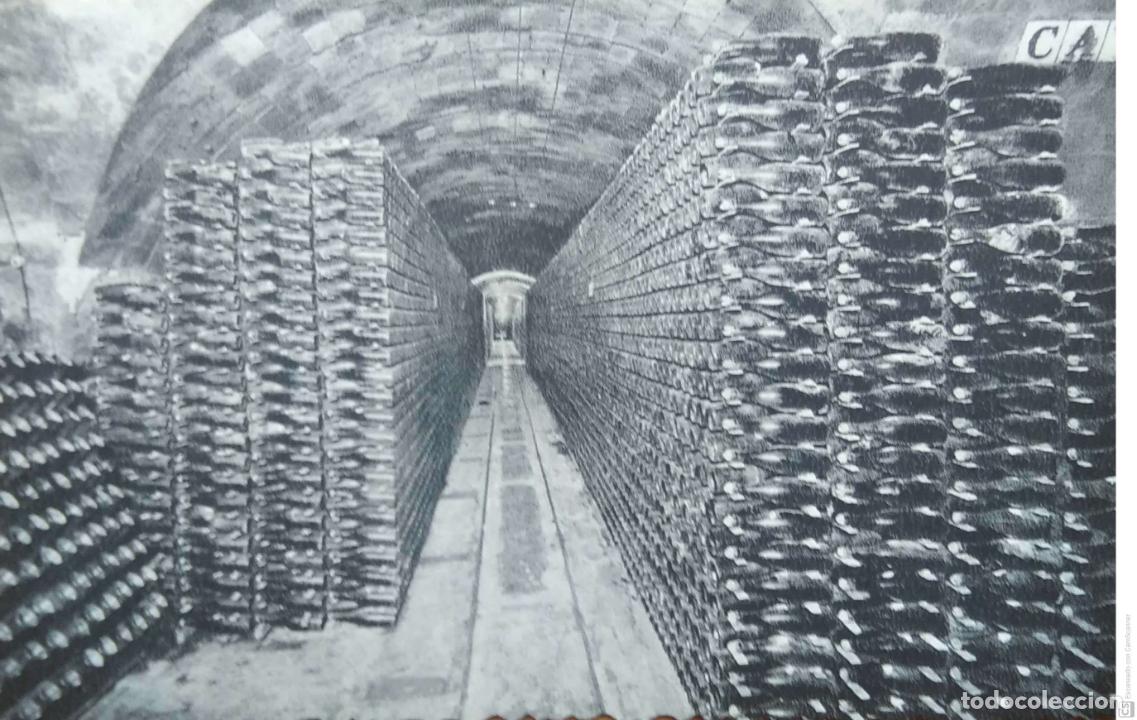 Postales: Casa Codorniu. San Sadurni de Noya. 9 Botellas en cava. Nueva. Blanco/Negro.