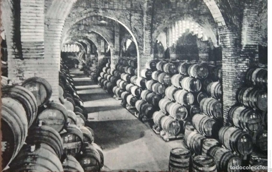 Postales: Casa Codorniu. San Sadurni de Noya. 5 Una bodega. Nueva. Blanco/Negro.
