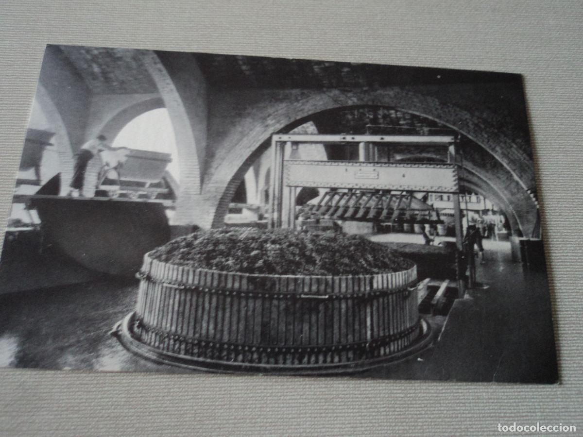 Postales: n&ordm; 2 casa codorniu, san sadurni de noya, una de las prensas, 1960