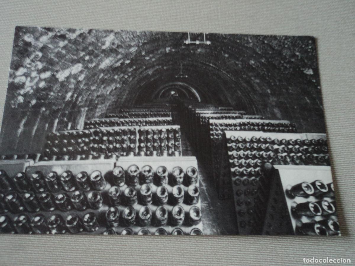 Postales: n&ordm; 10 casa codorniu, san sadurni de noya, botellas en pupitre, 1960