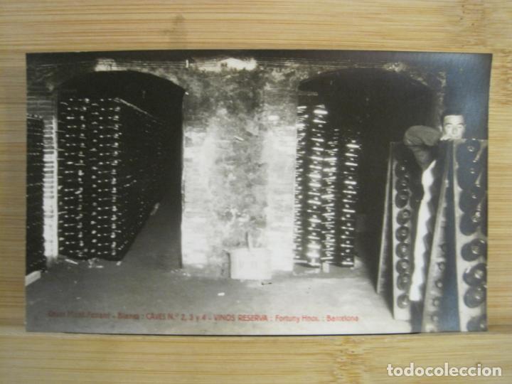Postales: BLANES-CAVES MONT FERRANT-FOTOGRAFICA-POSTAL ANTIGUA-(99.584)