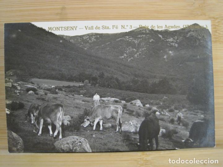 Postales: MONTSENY-VALL DE SANTA FE-PUIG DE LES AGUDES-FOTOGRAFICA-POSTAL ANTIGUA-(99.603)