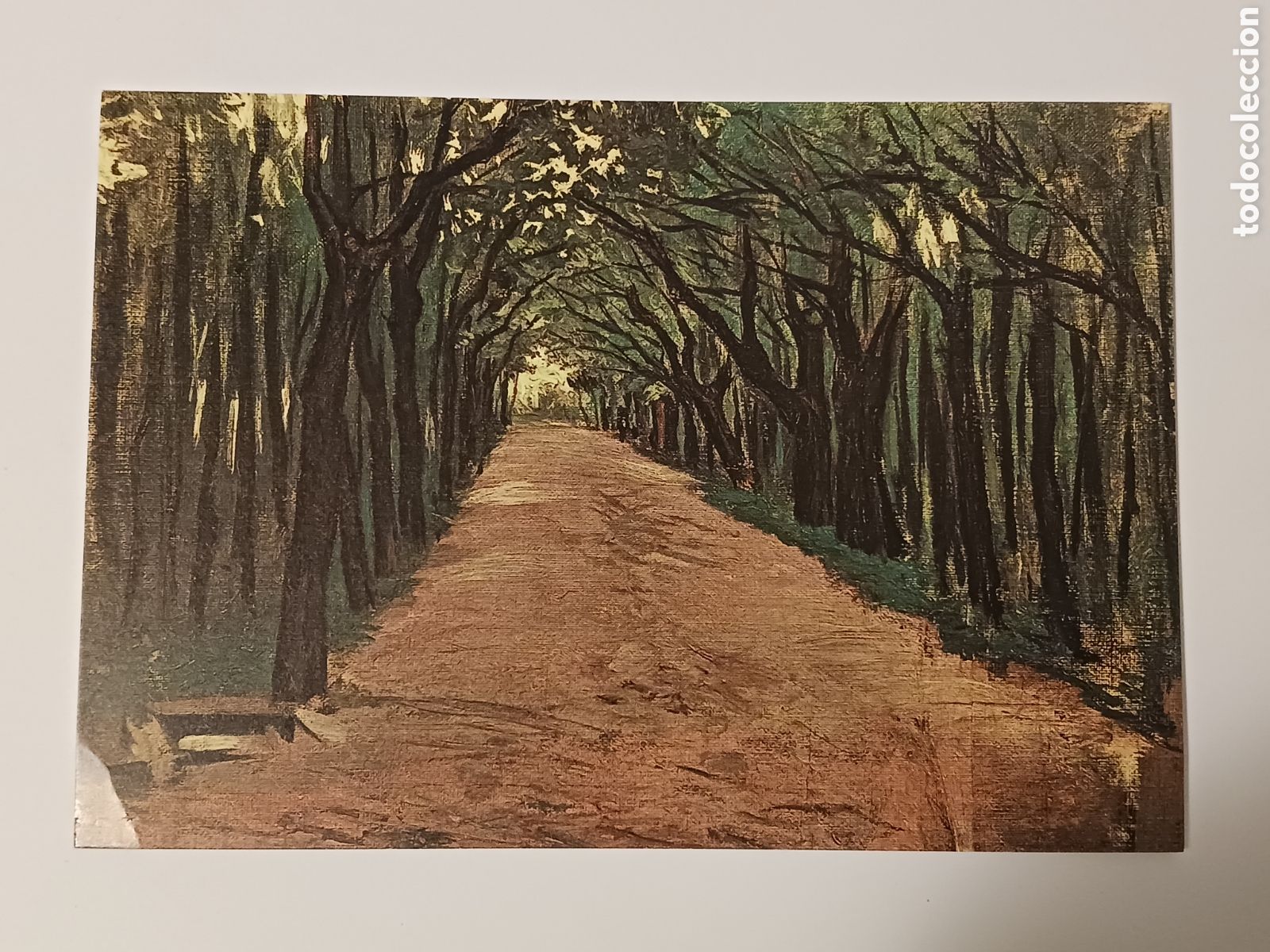 Postales: Barcelona, Museo Picasso. - Foto 7