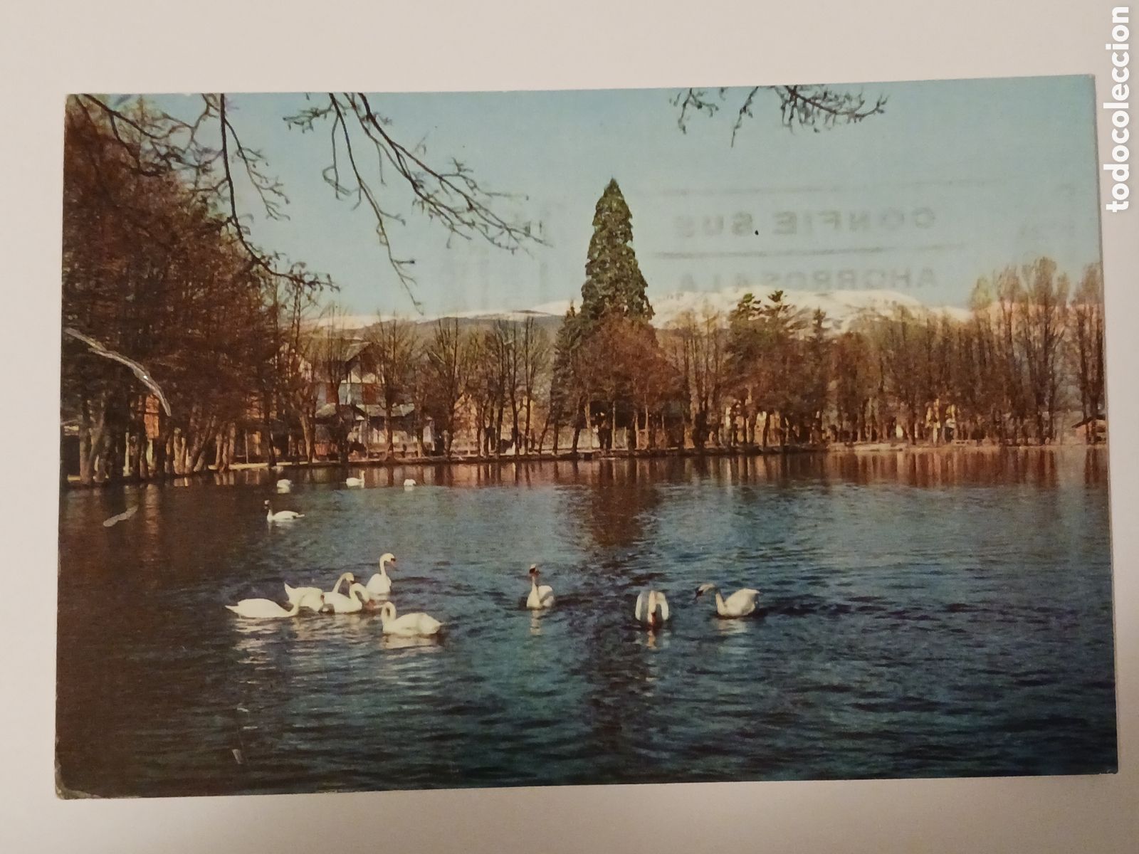 Postales: Puigcerd&aacute;, el lago, Circulada. - Foto 1