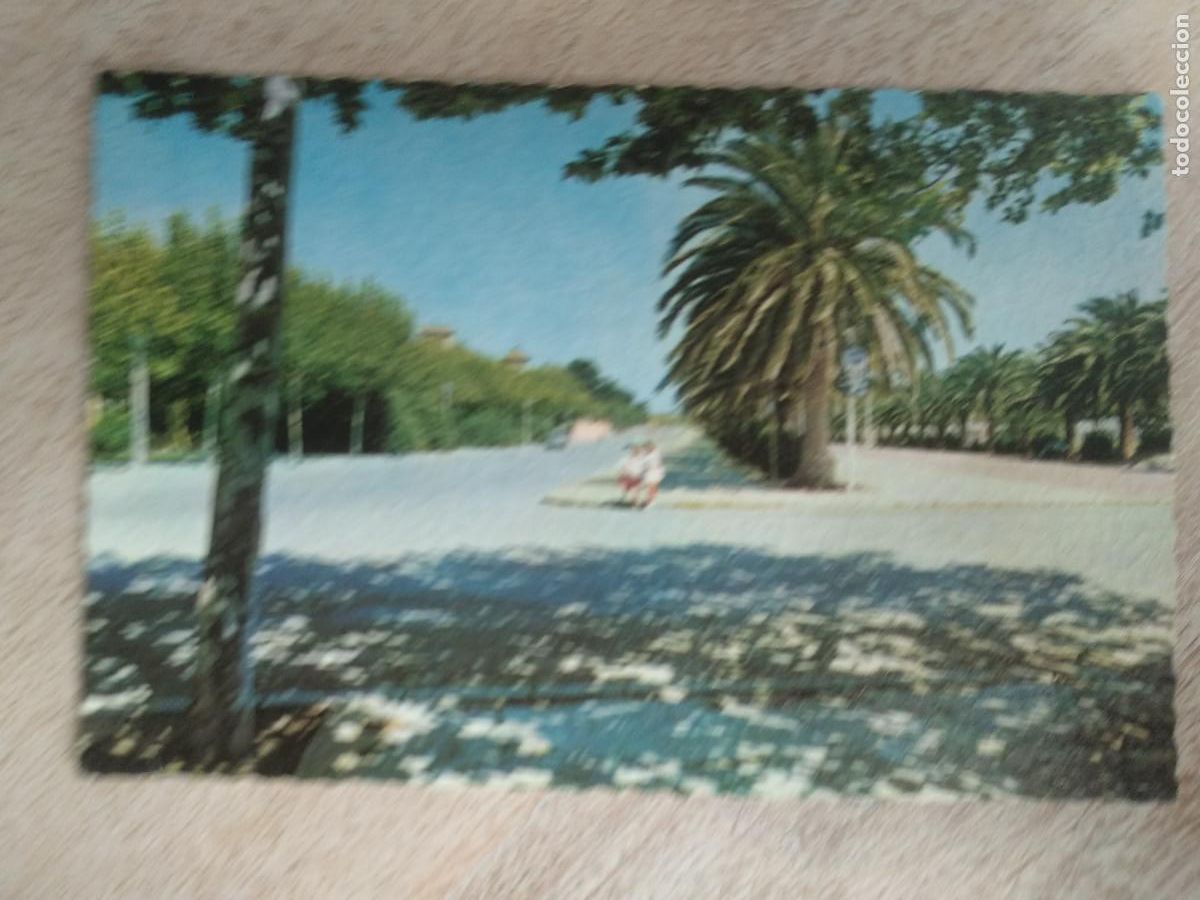Postales: SALOU TARRAGONA. AVENIDA. - Foto 1