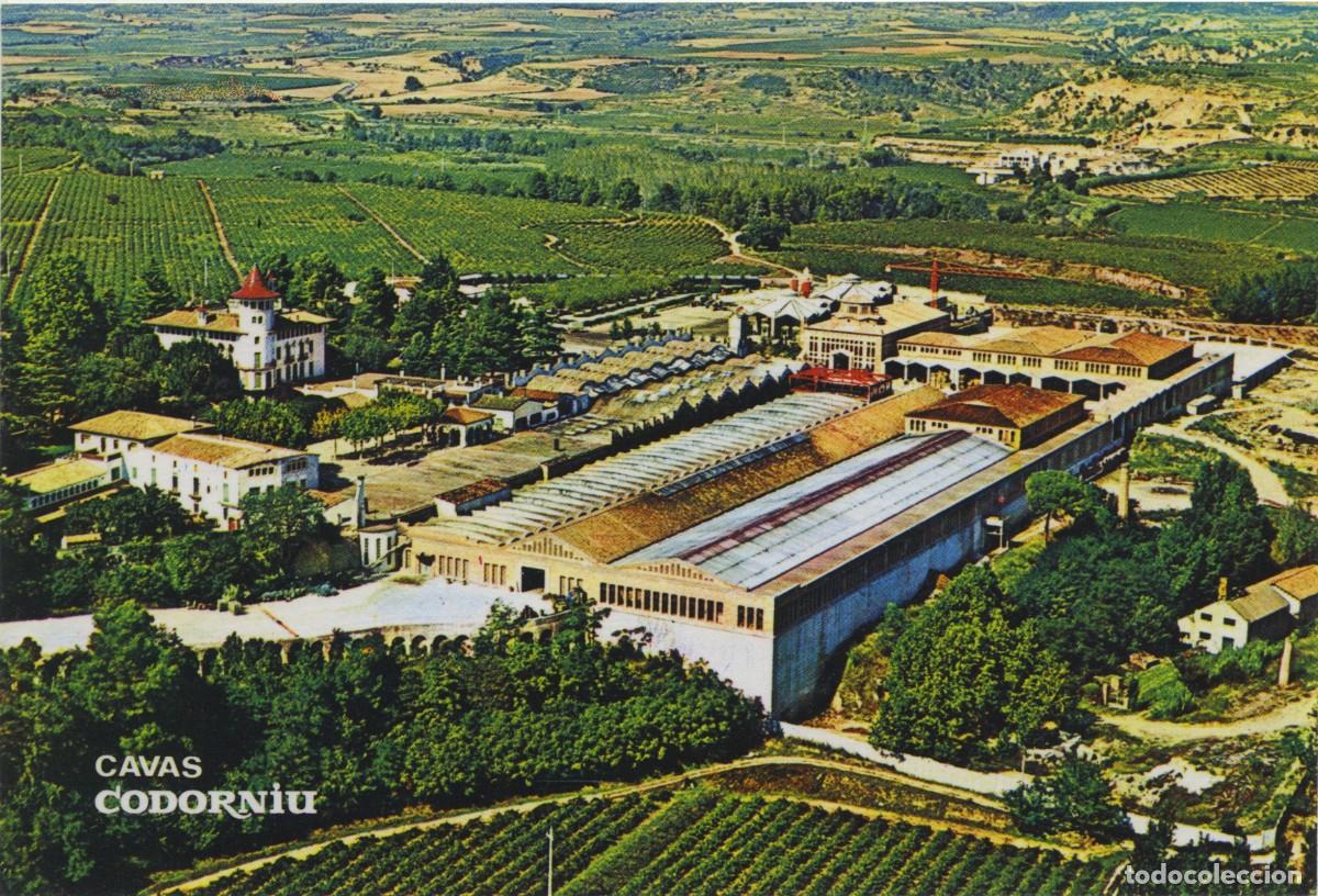 Postales: CAVAS CODORNIU. Exteriores. Sin circular. ED. CASA CODORNIU