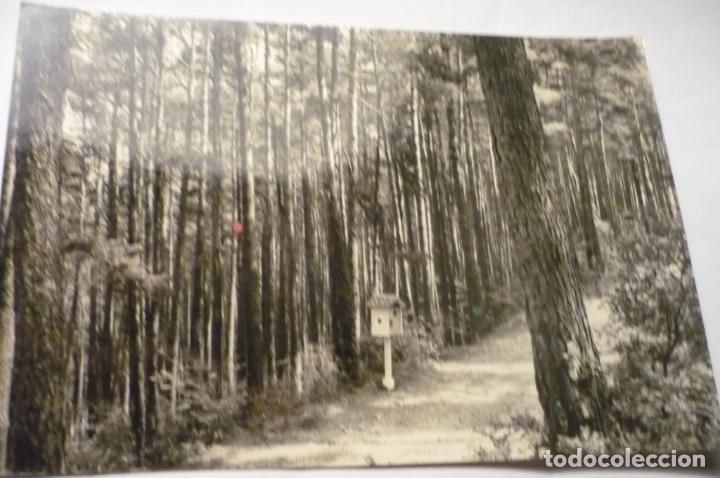 Postales: postal berga baga de querakt cm - Foto 1
