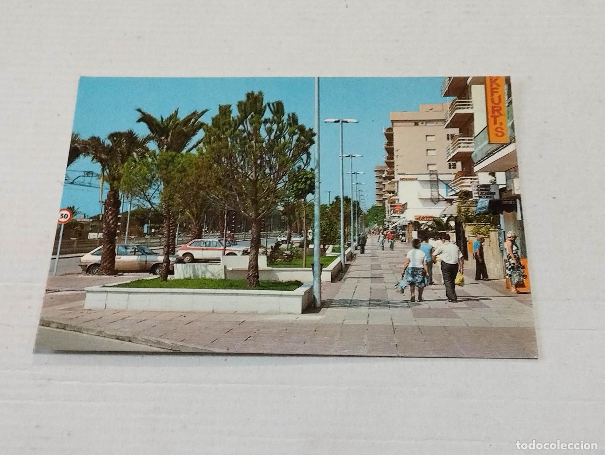 Postales: MARESME - POSTAL MALGRAT DE MAR - PASEO MAR&Iacute;TIMO - Foto 1