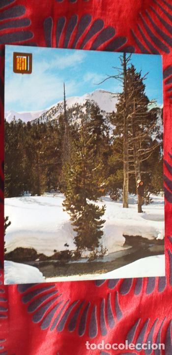 Postales: PIRINEO CATALAN-V49B-VALLE DE BOHI-LLEIDA-PARQUE NACIONAL DE AIGUES TORTES