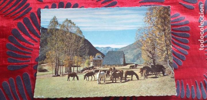 Postales: PIRINEOS DE LERIDA-V49B-I-GANADERIA