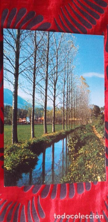 Postales: PIRINEO CATALAN-V49B-II-GIRONA-CAMPRODON-AFUERAS