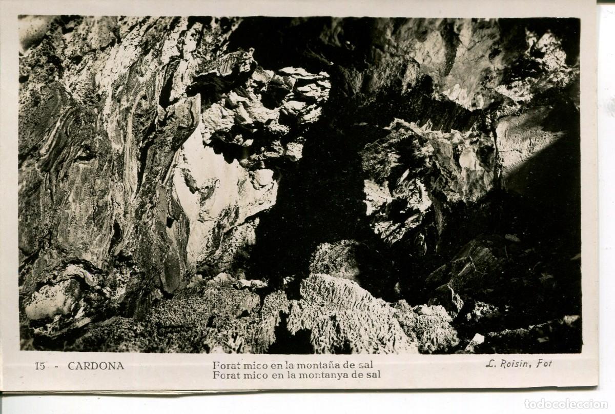 Postales: CARDONA-FORAT MICO EN LA MONTA&Ntilde;A DE SAL -ROISIN