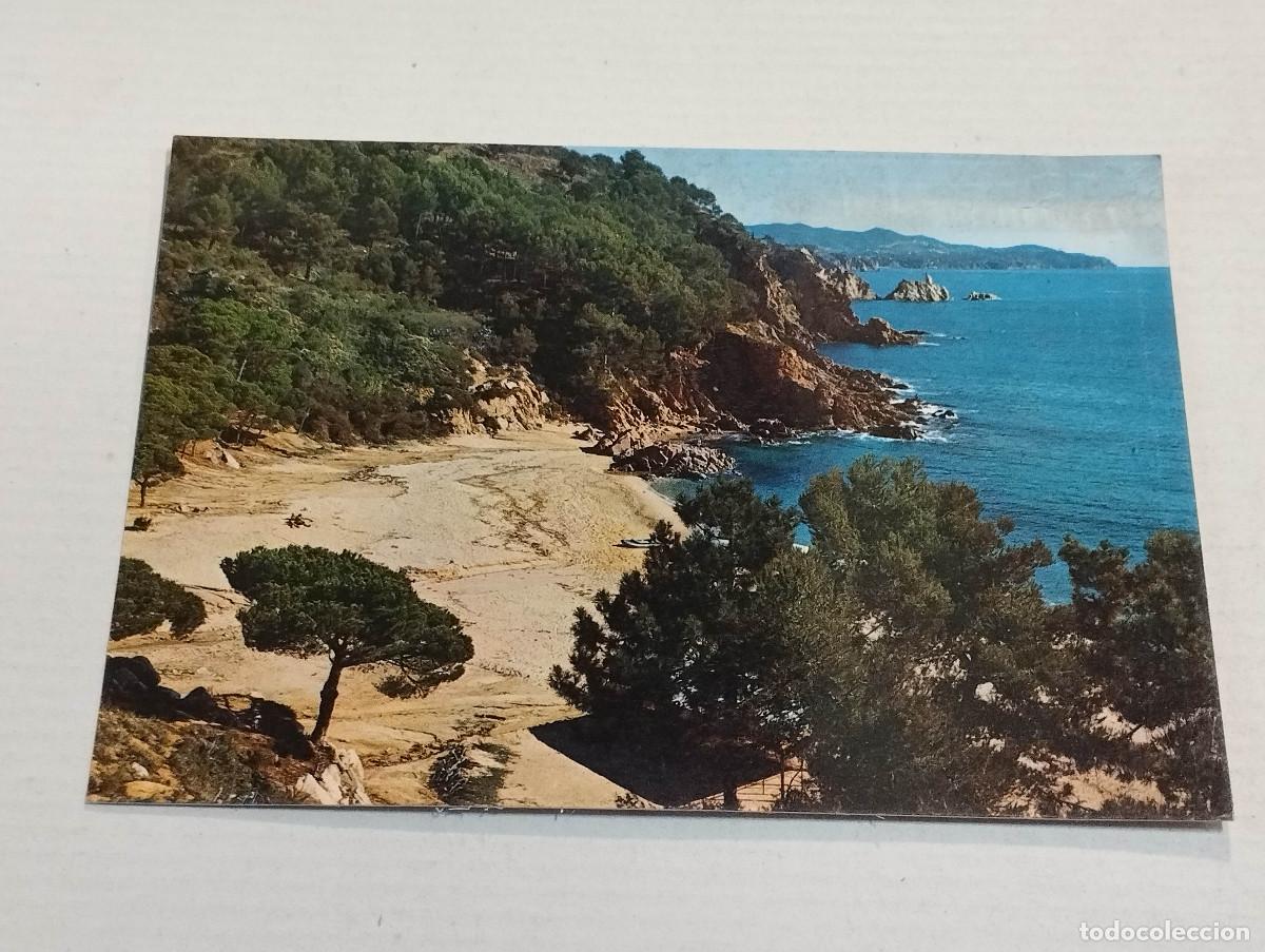 Postales: SELVA - POSTAL CALA SAN FRANCISCO - Foto 1