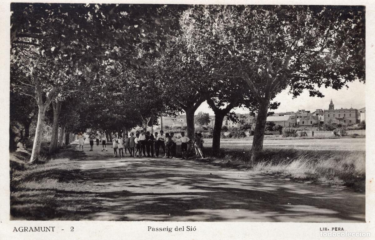 Postales: AGRAMUNT - PASSEIG DEL SIO - Foto 1