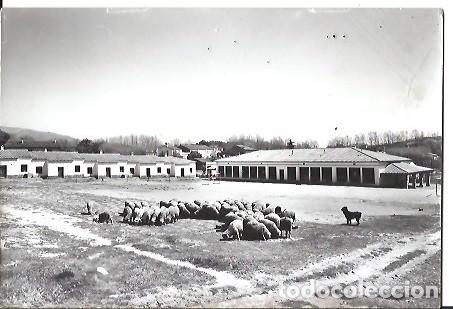 Cartoline: ANTIGUA POSTAL N&ordm; 4 LLINAS DEL VALLES GRUPO ESCOLAR EXCLUSIVA NOGUERAS FOTO ALFONSO SOBERANAS