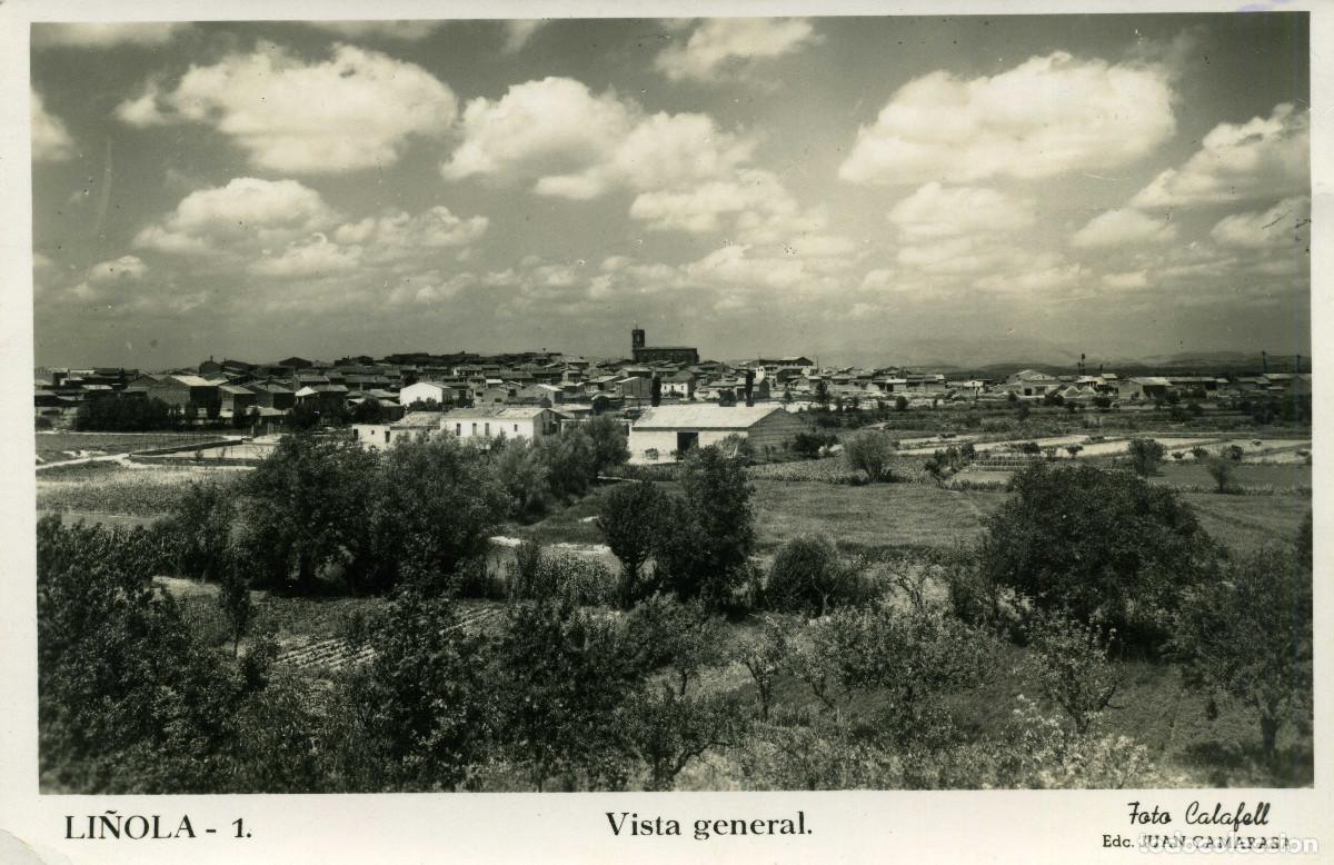 Postales: LI&Ntilde;OLA - VISTA GENERAL - Foto 1