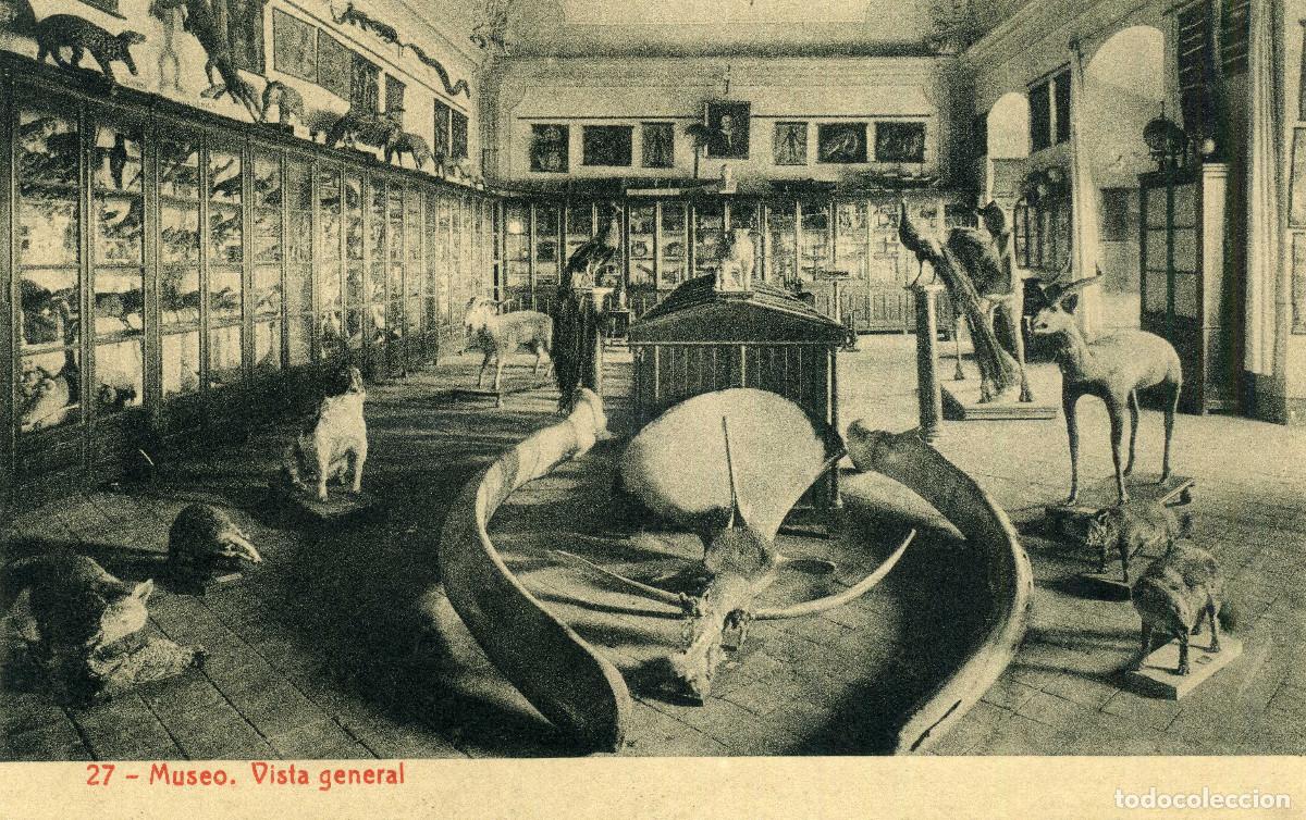 Postales: CERVERA - MUSEO. VISTA GENERAL - Foto 1