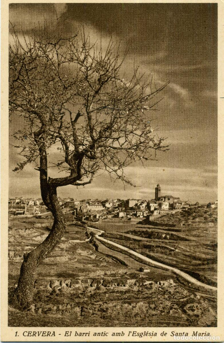 Postales: CERVERA - EL BARRI ANTIC - Foto 1