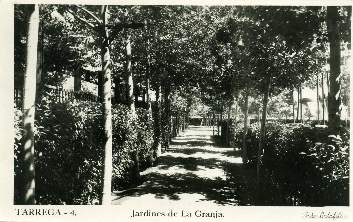 Postales: TARREGA - JARDINES DE LA GRANJA - Foto 1