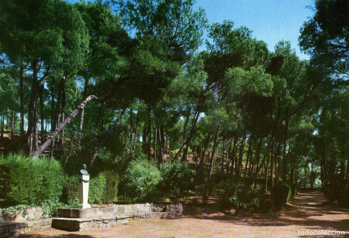 Postales: TARREGA - PARC DE SANT ELOI - Foto 1