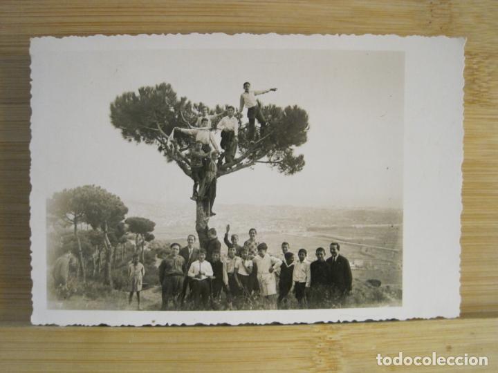 Cartoline: LUGAR SIN IDENTIFICAR-NI&Ntilde;OS SUBIDOS A UN ARBOL-FOTOGRAFICA-POSTAL ANTIGUA-(102.636)
