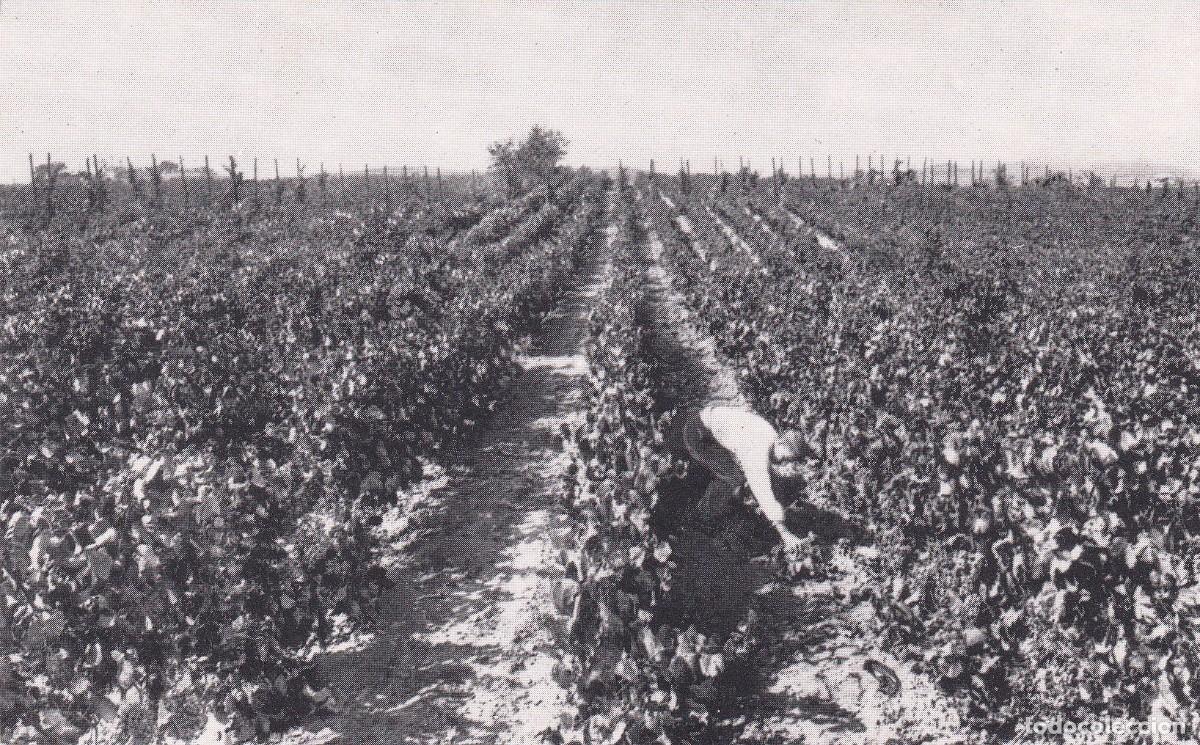 Postales: SANT SADURN&Iacute; DANOIA - CASA CODORNIU - Foto 1