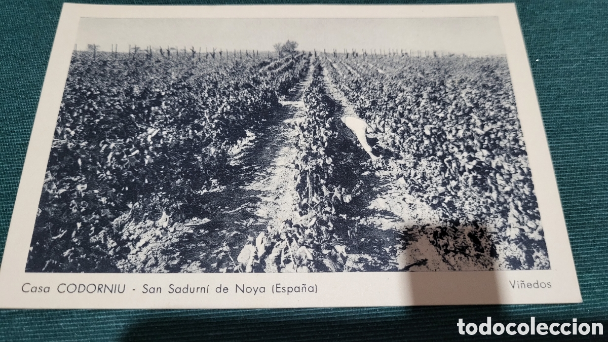 Postales: Tarjeta Postal Casa Codorniu-San Sadurni de Noya