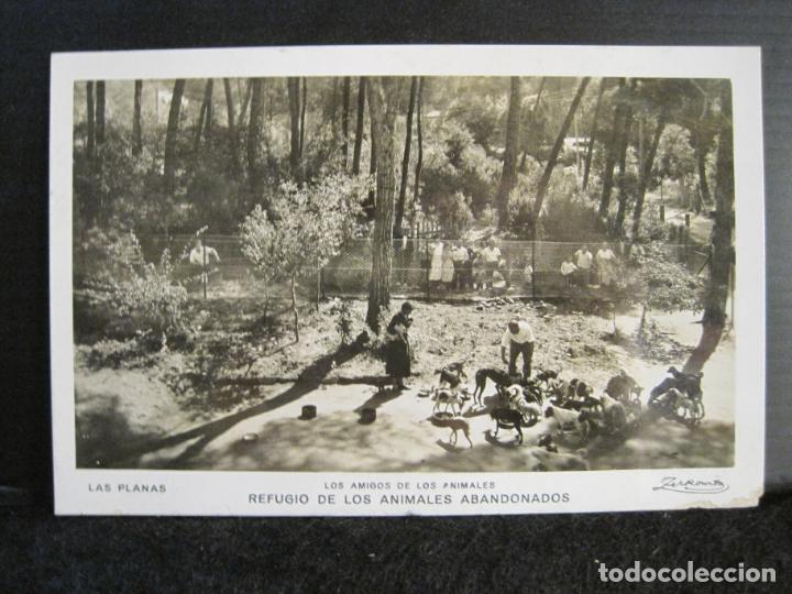 Postales: LAS PLANAS-REFUGIO DE LOS ANIMALES ABANDONADOS-FOTOGRAFICA-POSTAL ANTIGUA-(102.948)