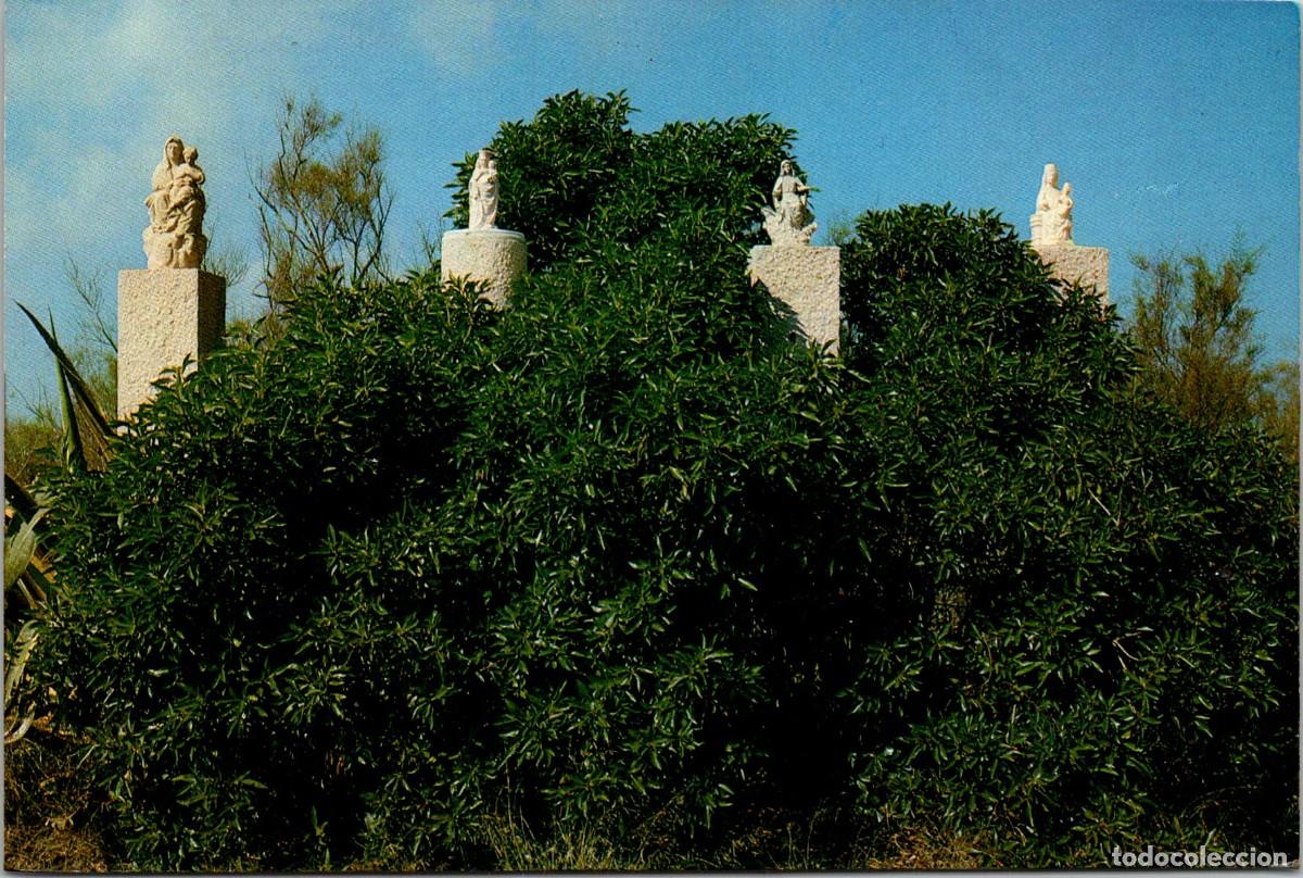 Postais: Deltebre - Mares de Deu - Ex. Foto Silago - 150x100mm
