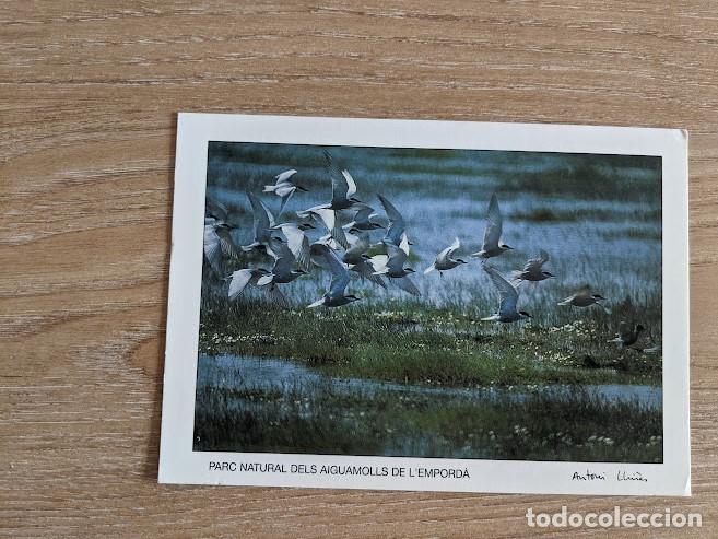 Postales: POSTAL AIGUAMOLLS DE L'EMPORD&Agrave;