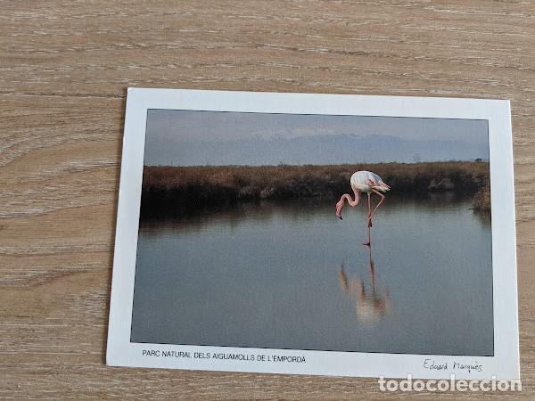 Postales: POSTAL AIGUAMOLLS DE L'EMPORD&Agrave;