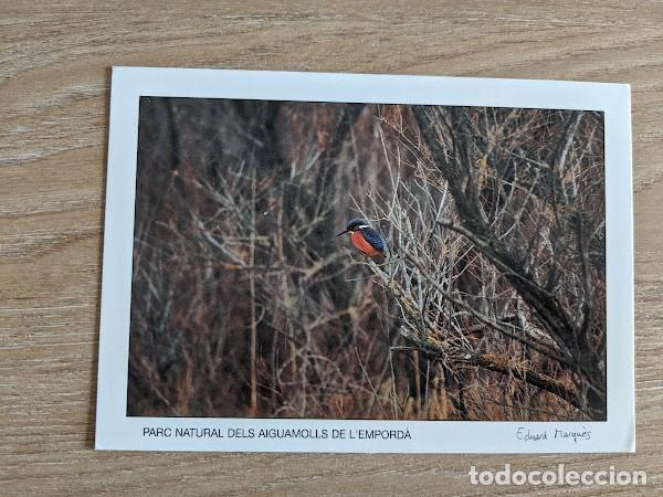 Postales: POSTAL AIGUAMOLLS DE L'EMPORD&Agrave;