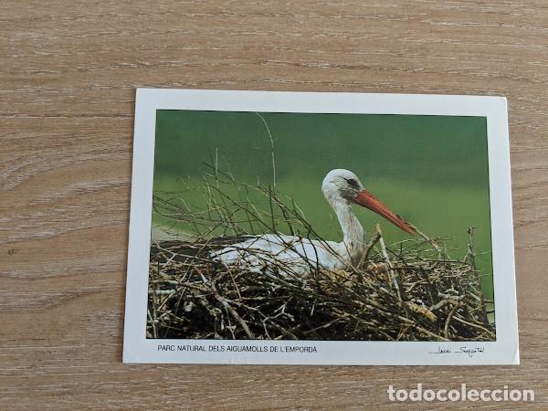 Postales: POSTAL AIGUAMOLLS DE L'EMPORD&Agrave;
