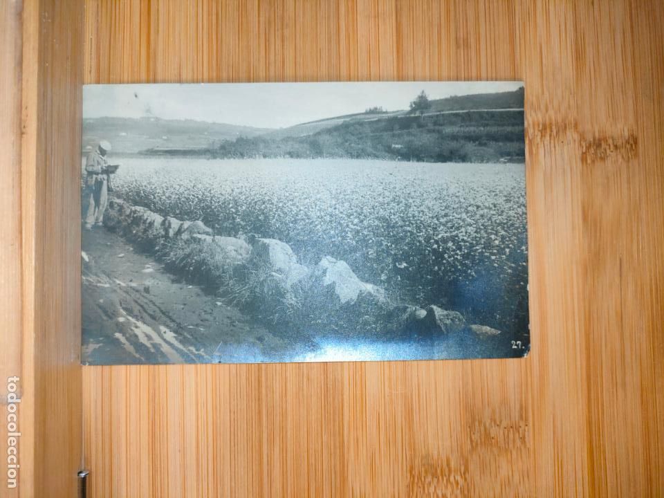 Postales: CATALUNYA-LLOC SENSE IDENTIFICAR-FOTOGRAFICA-POSTAL ANTIGUA-VER FOTOS-(103.227)