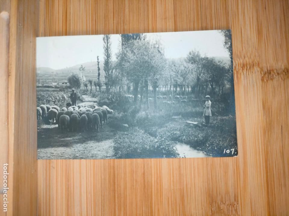 Cartoline: CATALUNYA-LLOC SENSE IDENTIFICAR-FOTOGRAFICA-POSTAL ANTIGUA-VER FOTOS-(103.228)