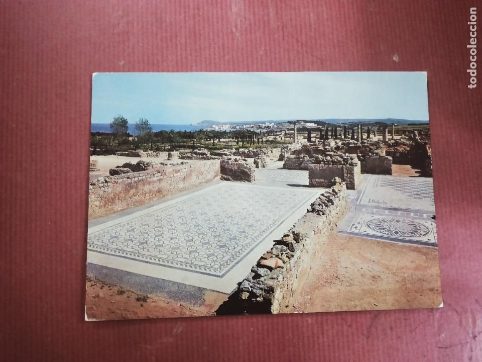 Postales: POSTAL COSTA BRAVA N&ordm; 1421. AMPURIAS MOSAICOS ROMANOS. FOTO FABREGAT.