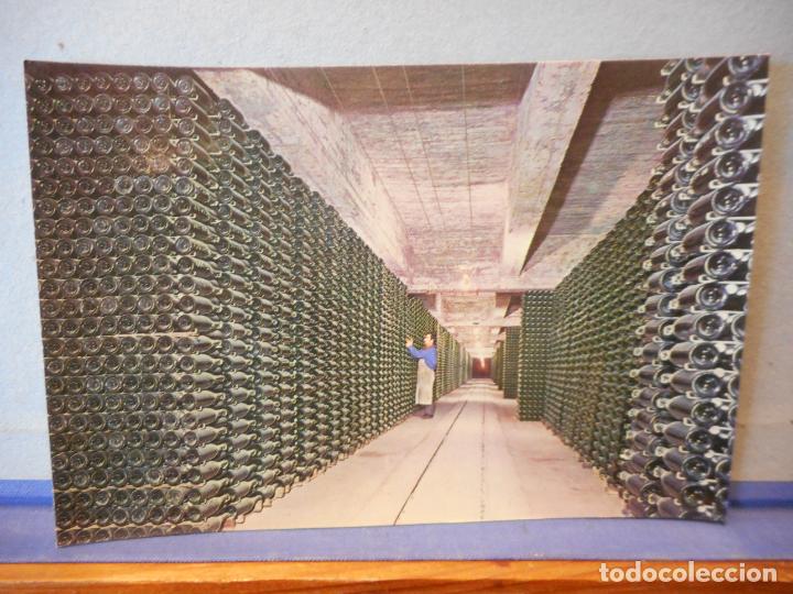 Postkarten: BONITA POSTAL BOTELLAS ENVEJECIENDO. CAVAS DE CODORNIU. SIN CIRCULAR.