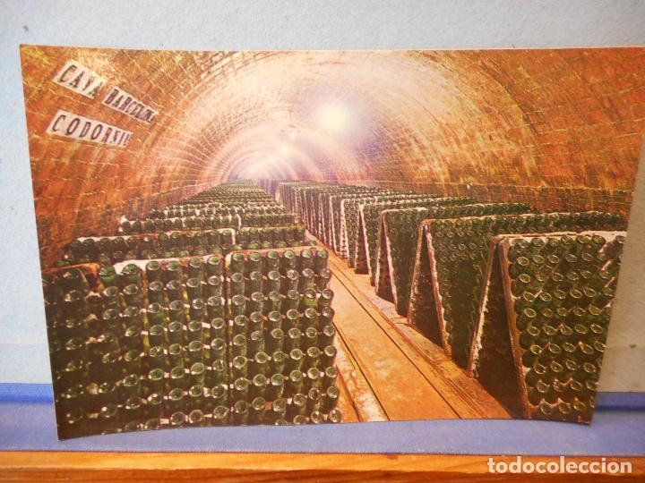 Postkarten: BONITA POSTAL BOTELLAS EN PUPITRE. CAVAS DE CODORNIU. SIN CIRCULAR.