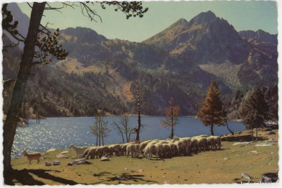 Postales: m09375 Vall D'Espot Ganaderia A Sant Maurici Garrabella N&ordm;5023 sc
