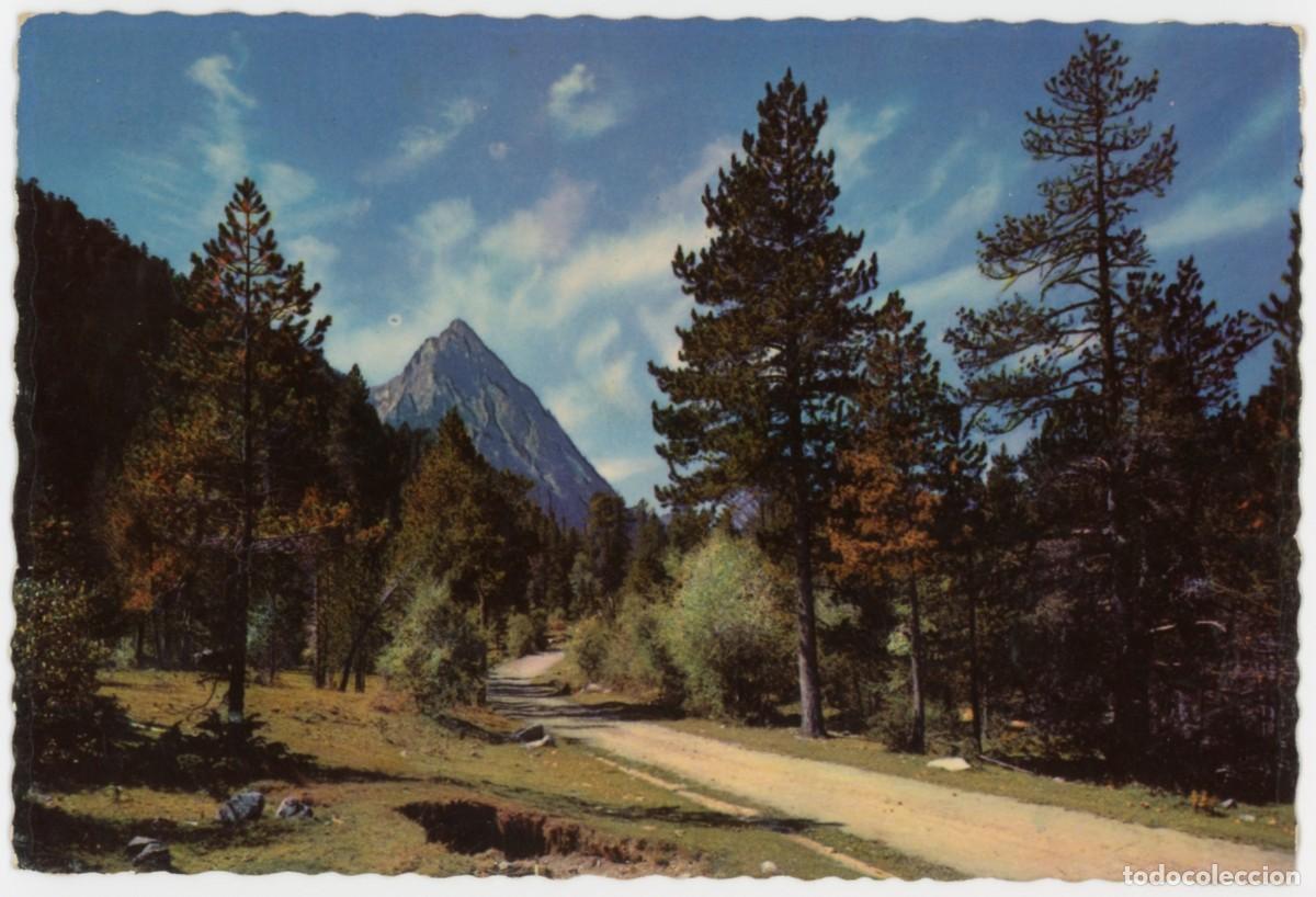 Postales: m09376 Vall D'Espot Cami De Sant Maurici Garrabella N&ordm;5021 sc