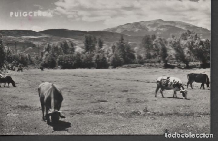 Postales: GERONA PUIGCERDA ESCRITA - Foto 1