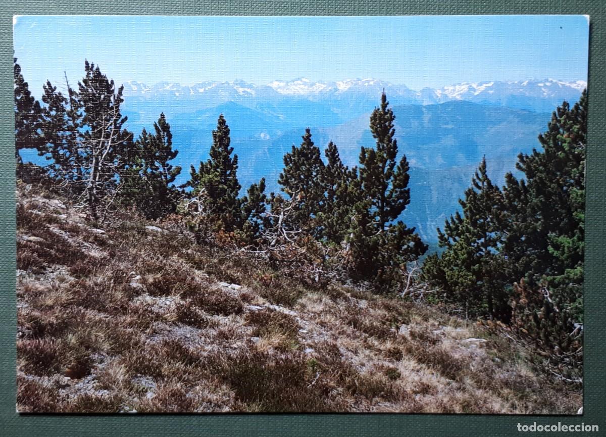 Postales: PALLARS SOBIRA.- N&ordm; 10. EL MUNTANYAN DE LA VALL FARRERA I ANDORRA. EDIC. SICILIA. SIN CIRCULAR