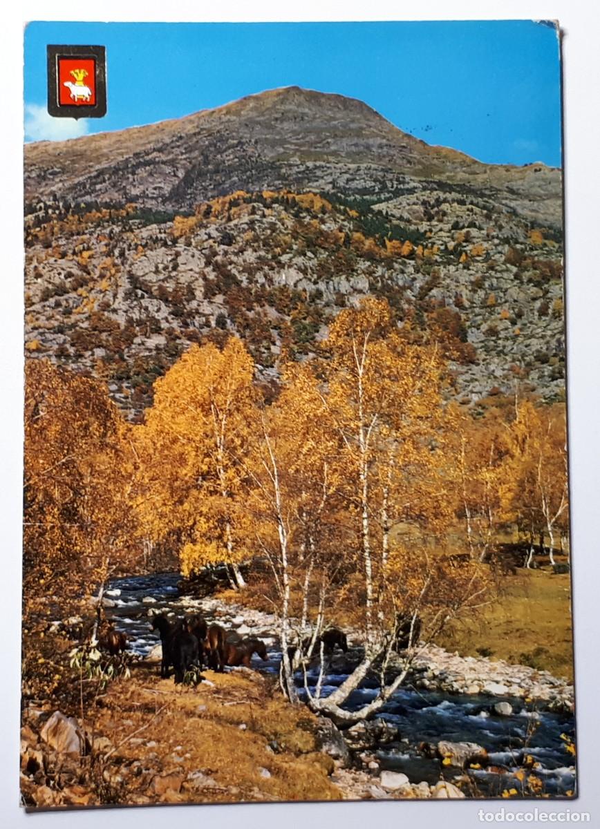Postales: PIRINEU CATALA.- N&ordm; 5161. EL PALLARS. VALL FERRERA. PAISATGE. ESCUDO DE ORO. CIRCULADA. 1974