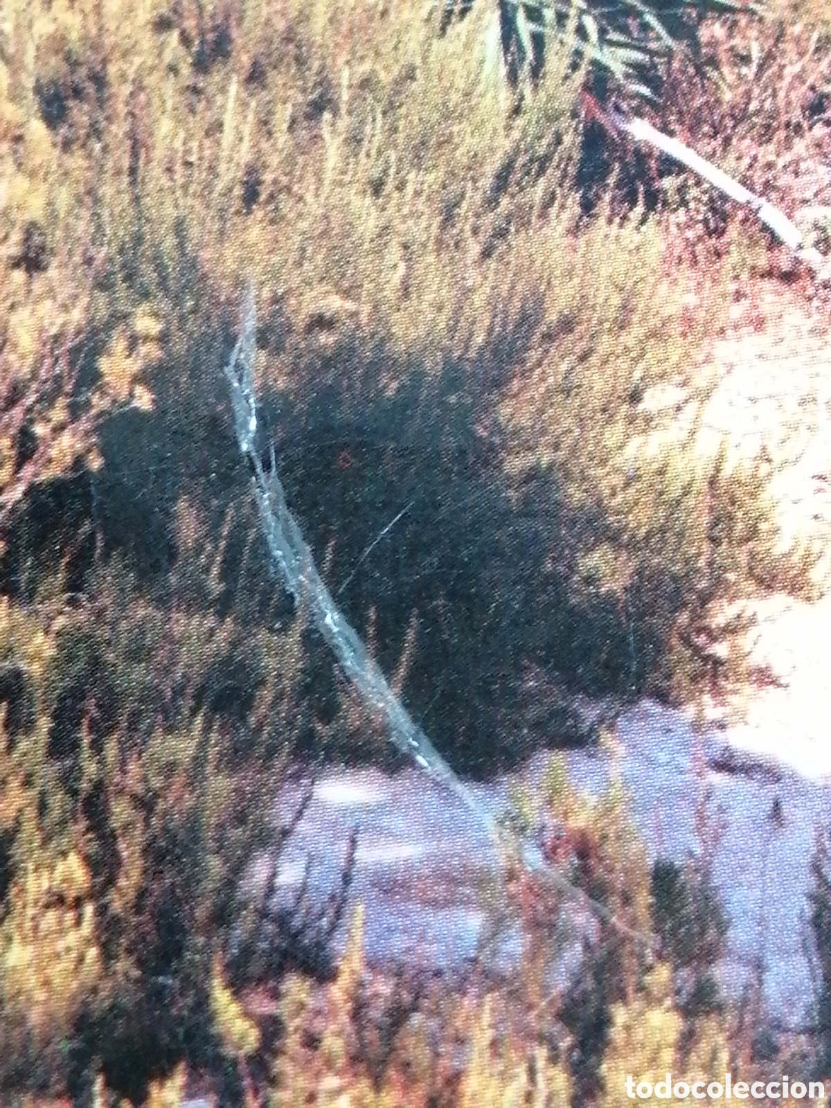 Postales: CASTELLDEFELS, PLAYA - Foto 5