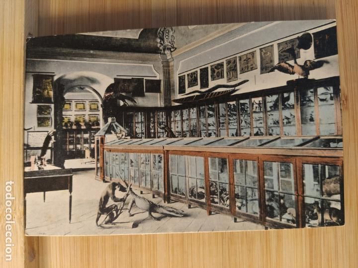 Cartes Postales: CERVERA-DETALL DE MUSEU DE LA EX UNIVERSITAT-CLIXE DE J.OLIVERES-POSTAL ANTIGUA-(104.316)