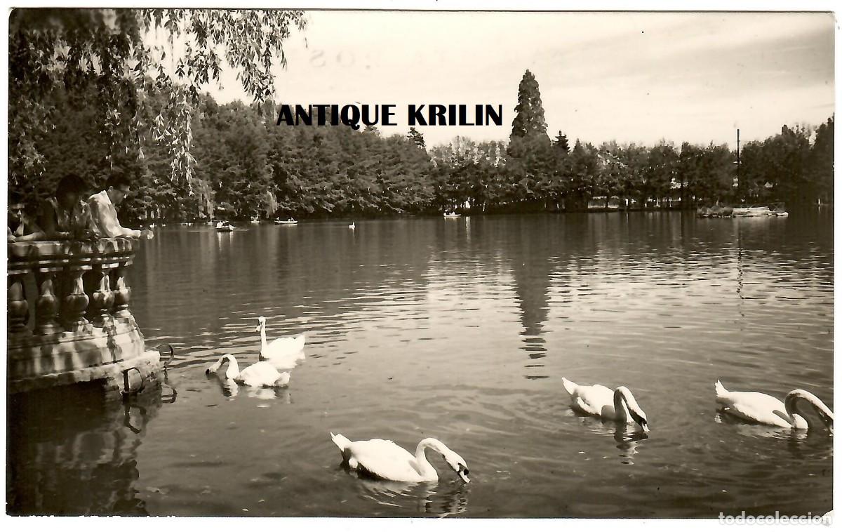 Postales: PUIGCERDA N&ordm; 52 EL LAGO / EDICION CYP