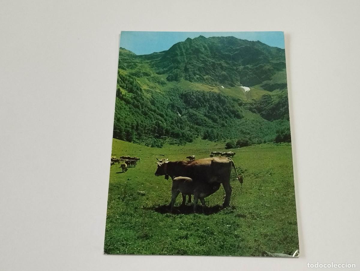 Postales: VALL D'ARAN - POSTAL ARTIGA DE LIN