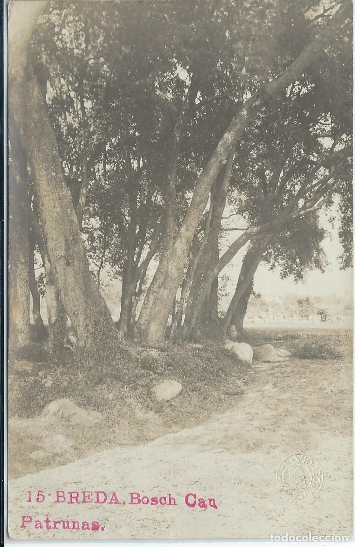 Postales: BREDA (GERONA) - BOSCH CAN PATRUNAS - Foto 1