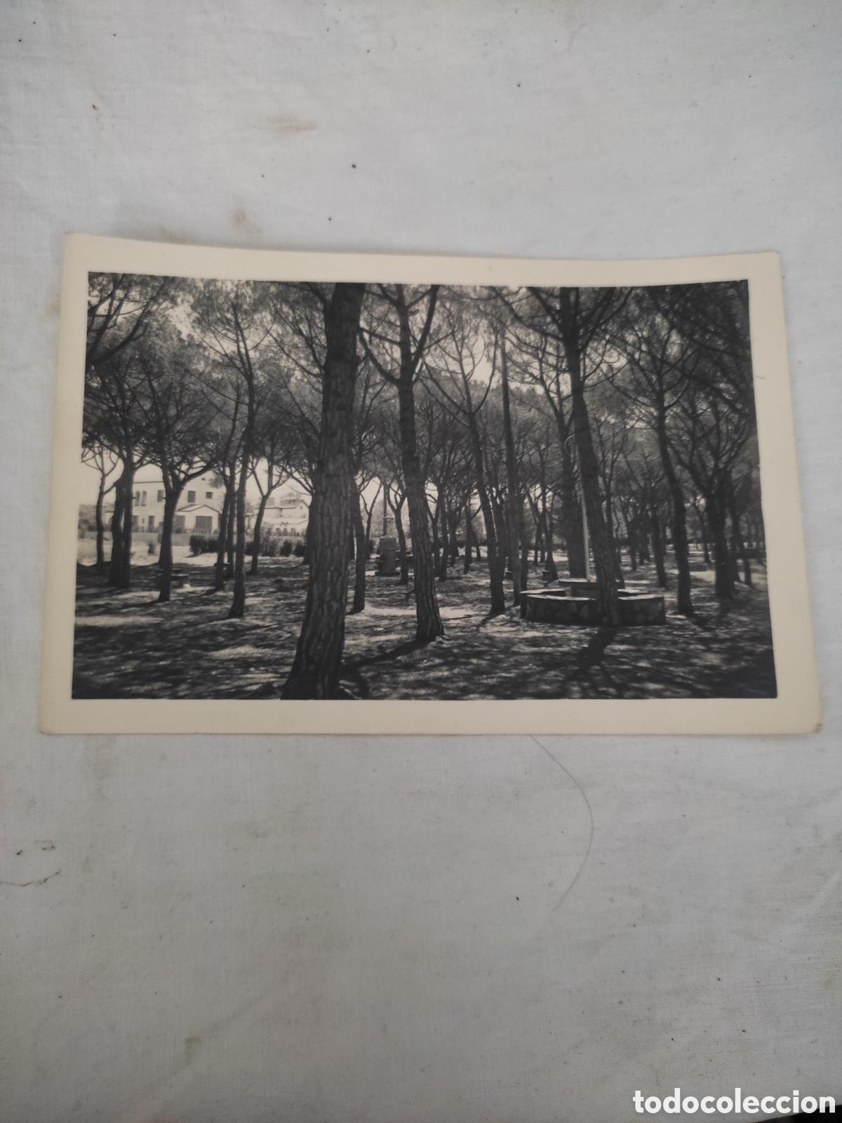 Postales: Fotograf&iacute;a tipo postal cardedeu parque pinetons
