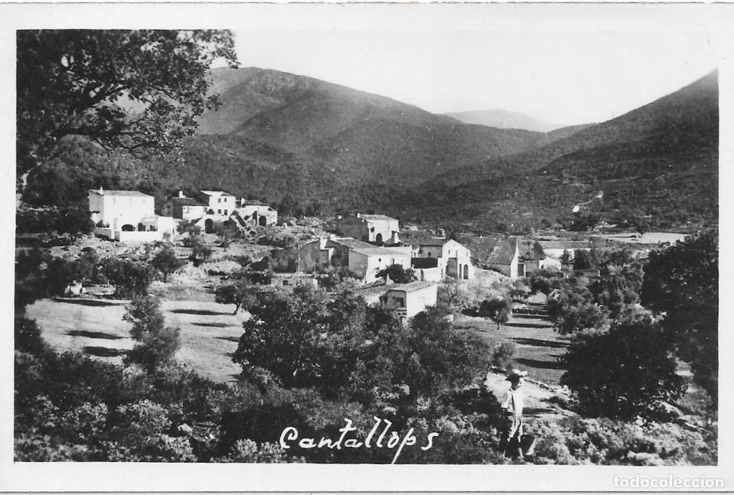 Postales: POSTAL DE CANTALLOPS, BARCELONA - Foto 1